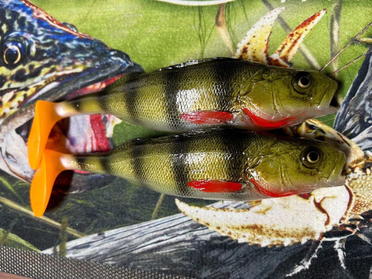 18cm Perch Soft Plastics x2