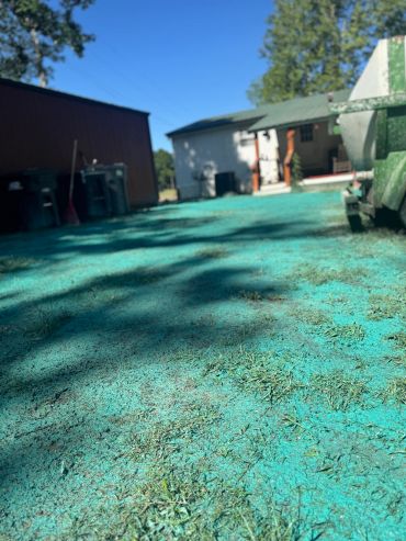 Lawn with green hydroseed under bright sunlight.