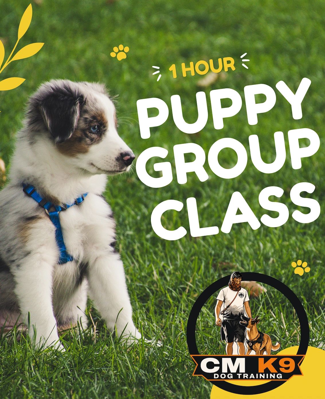 CM K9 Dog Training Inc.