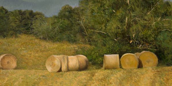 By Michele Mitchell
20 x 30 Oil on Canvas
$5500