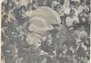 the FLINT JOOURNAL DOCUMENTS HISTORY