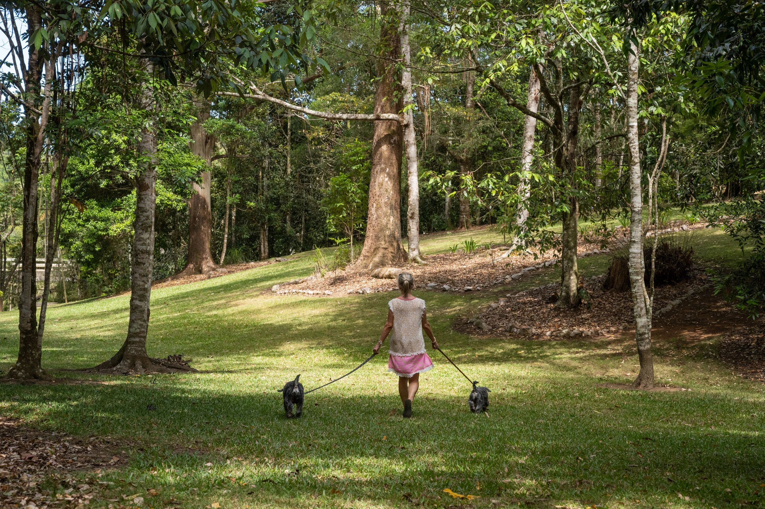 We've got the spot for Dog Holidays on the Atherton Tablelands!