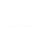Avolv