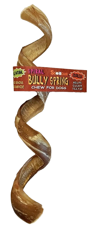 Spiral Beef Bully Stick—6-8”