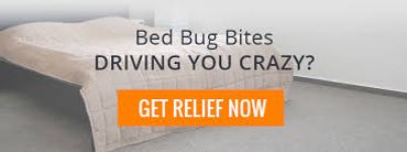 Bed Bug Service - Bradenton Termite and Pest Control