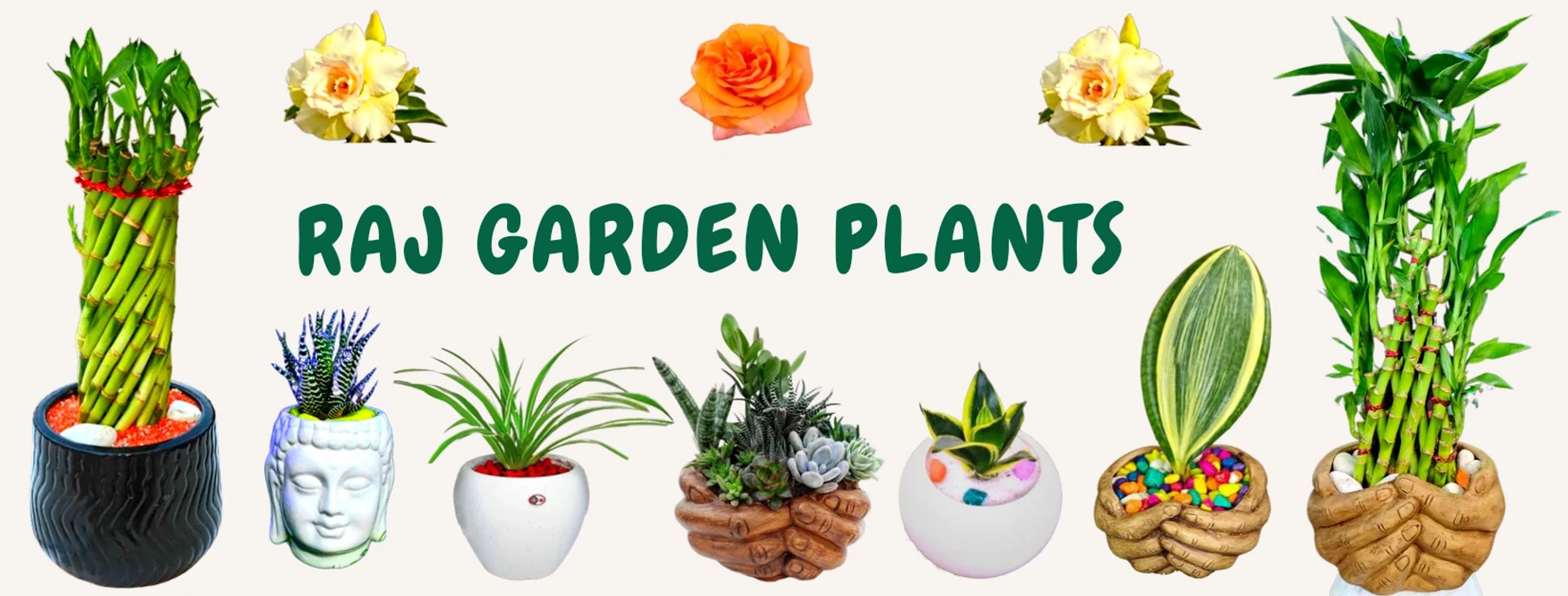 Various potted plants with creative pots and decorative flowers around Raj Garden Plants text.