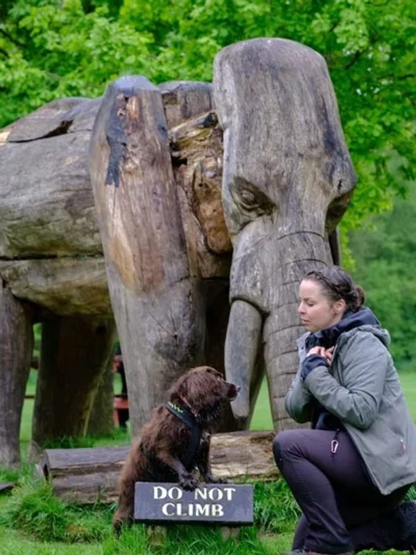 dog and dog trainer 