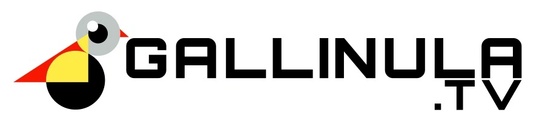 Gallinula Ltd