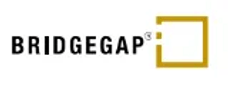 BridgeGap IT Services 