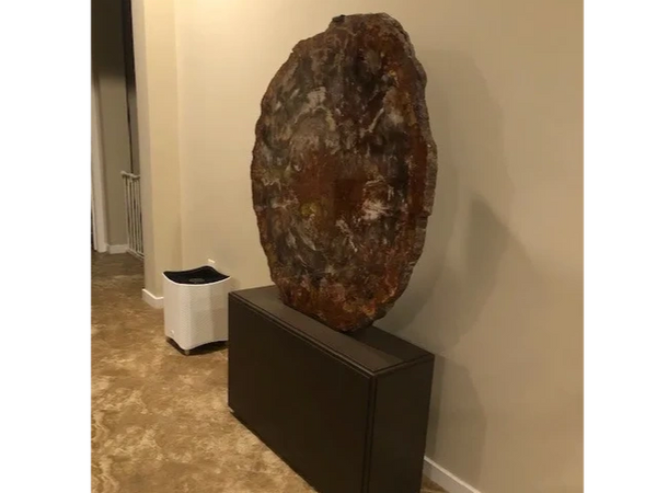 Petrified log display stand