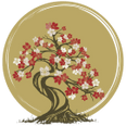 Grafton Acupuncture & T.C.M
Campbell Kenneally Chiropractic