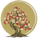Grafton Acupuncture & T.C.M
Campbell Kenneally Chiropractic