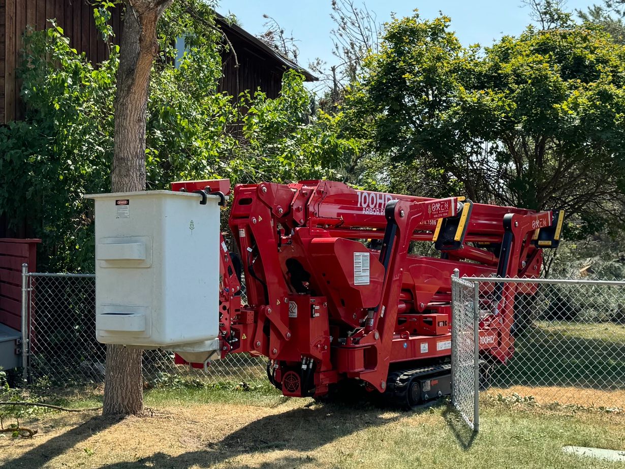 Spyder lift going through a standard yard gate.