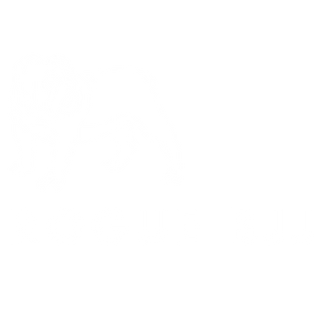 BJJ Canberra Brazilian Jiu-jitsu