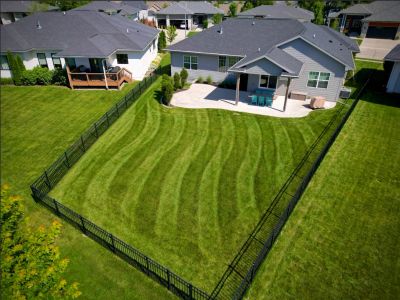A backyard with striped green lawn and black fence.
