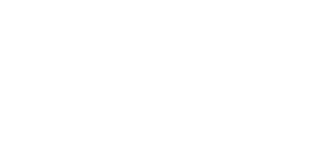 Carey Electric, LLC