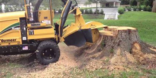 Stump grinder removing a tree stump.