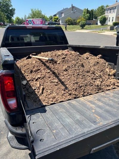 Pickup truck bed filled with dirt and a shovel.
