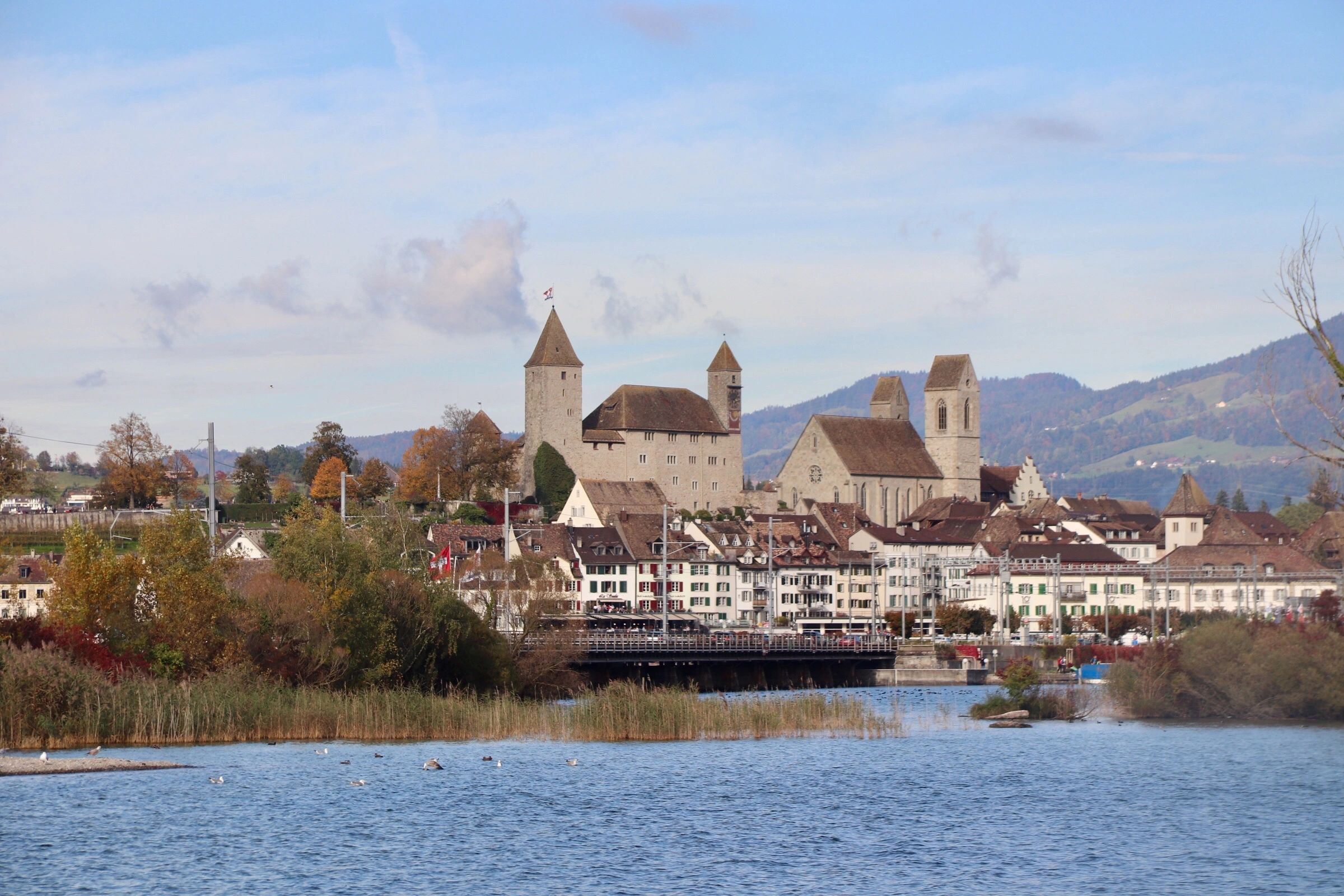SEX AGENCY in Rapperswil-Jona