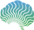 Brain Waves Biofeedback Therapy