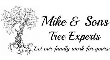 Mike & Sons Tree Experts
Let our family work for yours!