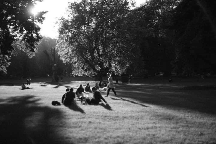 People relaxing in a sunlit park with shadows cast by trees.