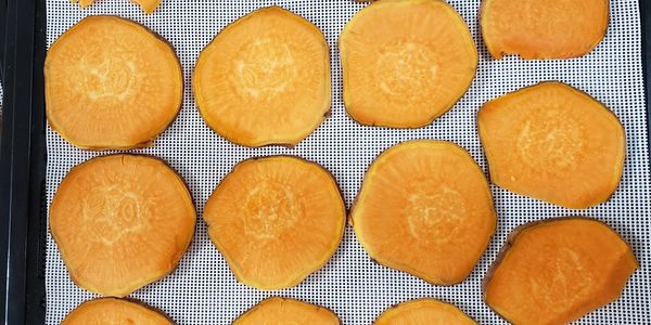 slices of sweet potato on a silicone dehydrator sheet