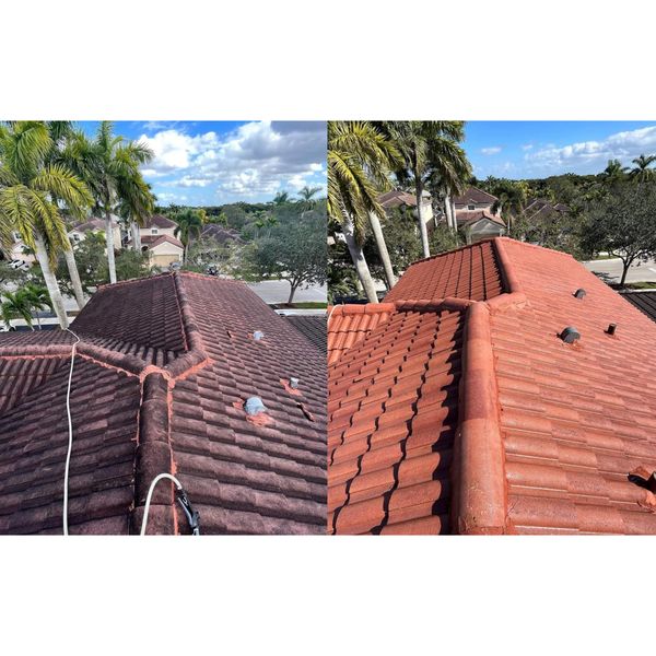 Roof Cleaning St. Johns