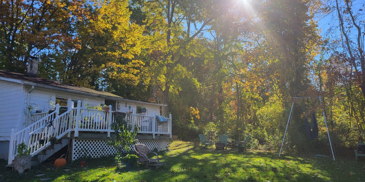 Sunny backyard with chairs and a swing.