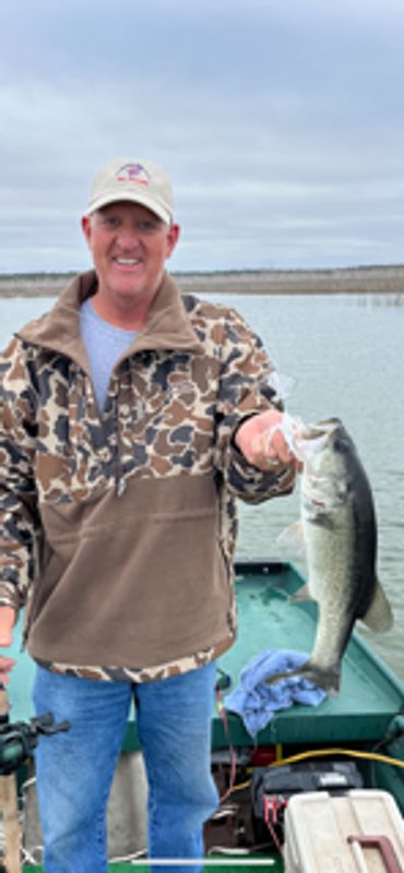 OH Ivy Bass on Scrambler KJ-Original 