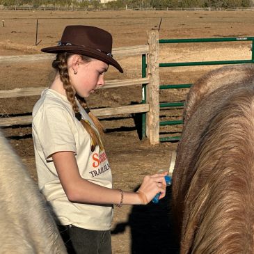 Girl in cowboy hat grooming a horse outdoors.