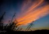 Sunrise at Terlingua