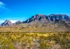 Landscape in Big Bend National Park