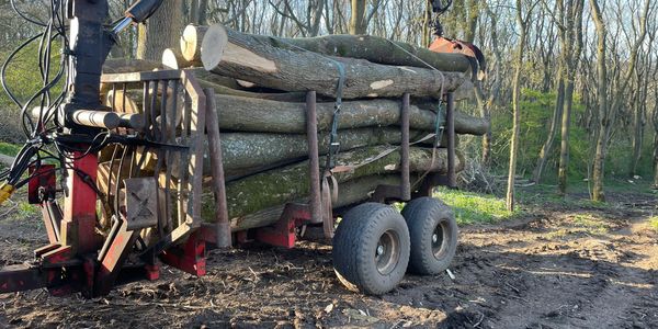 firewood logs being loaded on to a trailer