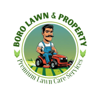 Boro Lawn & Property