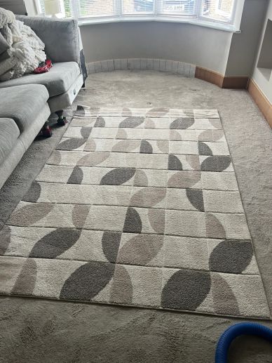 odour removal from carpet and rug in Peterborough