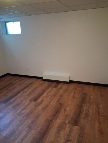 Remodeled basement with luxury vinyl plank flooring, finished walls, and new trim.