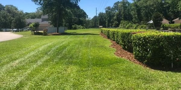 Well-maintained grassy open area with trimmed hedges under a clear blue sky.