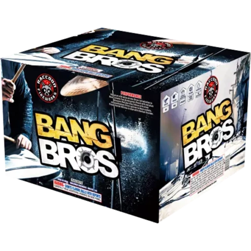 Is Bang Bros Real Bang Bros