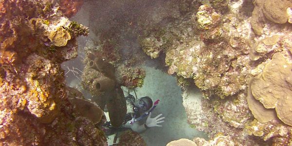 Scuba diver exploring vibrant coral reef underwater.