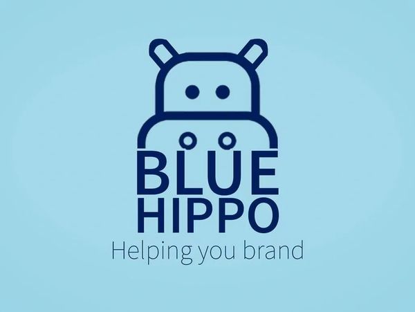 Blue Hippo Marketing Agency. Helps with Social media marketing 