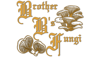 BB Fungi