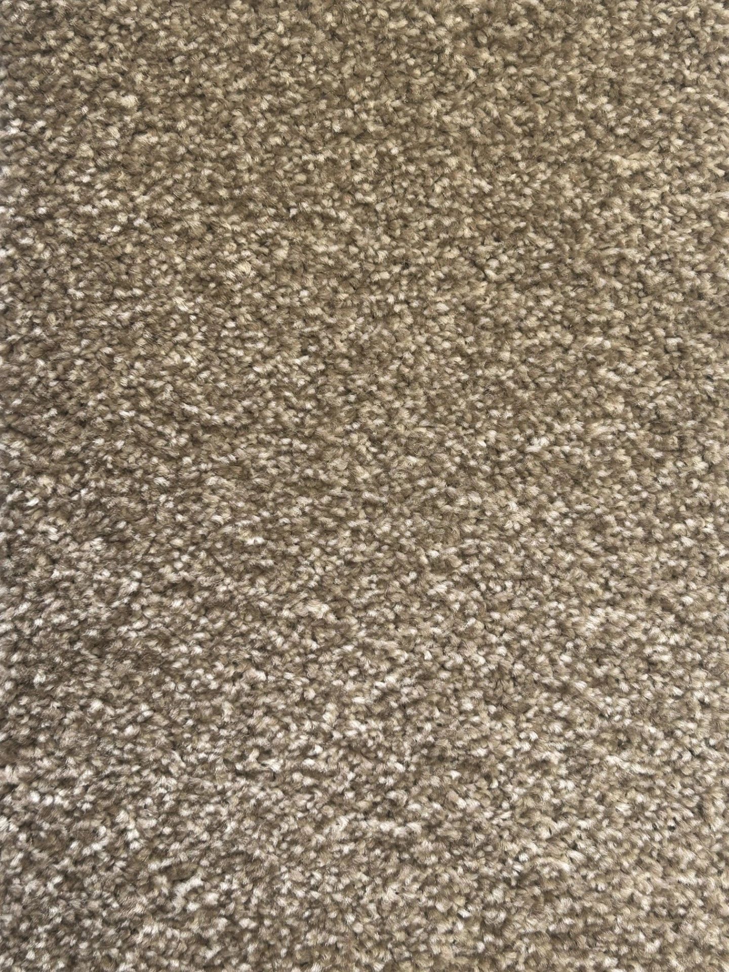 //img1.wsimg.com/isteam/ip/a7d5d54b-b6a3-47c8-9f12-727729ea682f/BEIGE%20682.jpg/:/rs=w:1300,h:800