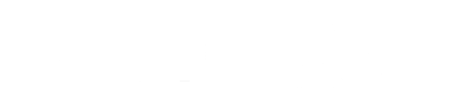 Blue Dog Electric