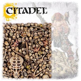 Citadel Skulls