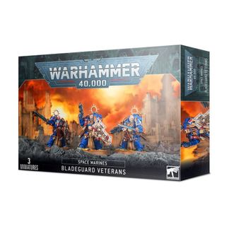 Space Marines: Bladeguard Veterans