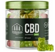 Evergreen Farms CBD Gummies