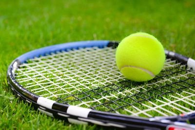 Tennis ball resting on a racket on grass.