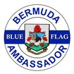 Blue Flag Online
