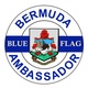 Blue Flag Online